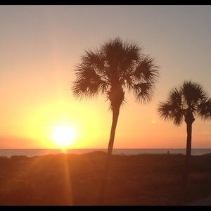 Meet your Posher, Anne